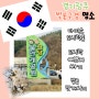 [경기광주] 팔당 물안개 공원 벚꽃 만개 시기 주차정보 인근 맛집 주변 상점 다이소 도시락통 봄나들이