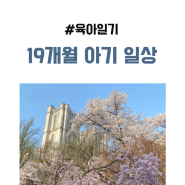 19개월 아기 육아일기 _ 벚꽃 서울숲, 경희대, 별내 곶나리 생태마을정원