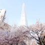 2024 석촌호수 벚꽃축제 실시간 후기 4월 7일 주차 전쟁 🚫 지하철 8호선 잠실역 10번출구가 편해요