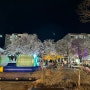 2024 안동벚꽃축제 이틀 방문