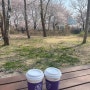 벚꽃 보며 커피, 피크닉@양재시민의 숲 + 점심 청와옥(대기)