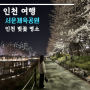 인천 벚꽃 명소 서운 체육공원 개화 상태