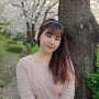 서울 벚꽃축제 그나마 한적하고 사람적은곳 추천해요 <장치천>