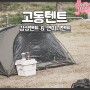 캠빌 고동텐트 2인용 쉘터 이너텐트 감성캠핑 면돔텐트 추천
