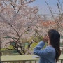 [서울 벚꽃 명소] 해방촌 벚꽃포토존으로 유명한 ‘프루프인더커피’ 다녀온 후기
