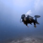 세부다이빙 가족여행 추천 액티비티 뉴그랑블루 스쿠버다이빙 - "바닷속에서의 회갑연" 이야기