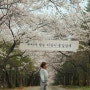 [화성동탄]벚꽃캠핑 청려수련원 노지야영사이트 2박3일