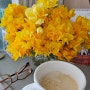 [주간 일기] 꽃과 함께 한 일주일 & 의왕 시청 벚꽃 개화 상태(4월 5일 기준)