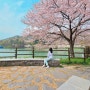 화순동구리호수공원/광주근교벚꽃명소/광주봄소풍/광주근교나들이