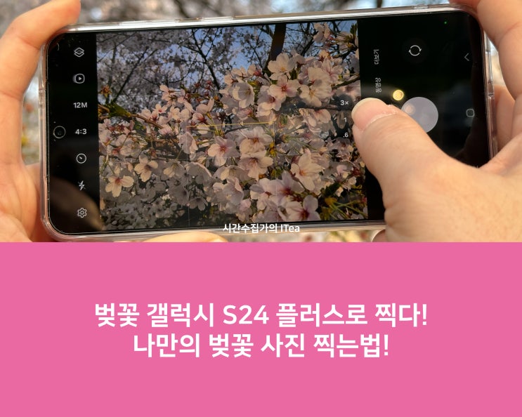 벚꽃 갤럭시 S24 플러스로 찍다! 나만의 벚꽃 사진 잘 찍는법! : 네이버 블로그