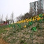 서울근교 산책 당일치기 꽃구경 가볼만한곳 파주 공릉천 공원 튤립축제