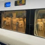 아시아나 김포 간사이 공항 기내식 & 하루카 열차 타고 교토 가는법