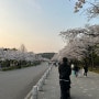 벚꽃시즌의 서울대공원