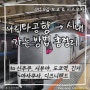 나리타공항 ➔ 시내 가는법 총정리 | 넥스 스카이라이너 스카이엑세스 1300엔 버스 리무진