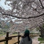 [여수] 성산공원 | 만성리검은모래해변 | 소소하게 보내는 주말 그리고 벚꽃엔딩