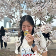 경주 벚꽃 마라톤 대회 요약2024.04.06. (토)