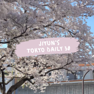 [도쿄 일상 30] 4월은 벚꽃의 달 🤭 벚꽃의 꽃말은 정신의 아름다움 🫧