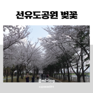 서울 벚꽃 데이트장소추천, 선유도공원 / 주차장 위치, 벚꽃개화시기