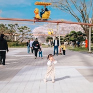 광주 패밀리랜드 벚꽃 동물원 우치공원 아기랑 관람차 후기