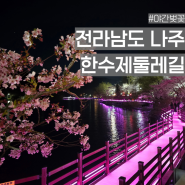 전남 나주 한수제 둘레길 야경 벚꽃 명소 광주근교 야간 드라이브