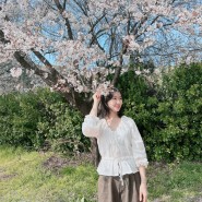 4월 일상_퐁퐁퐁퐁퐁이+벚꽃