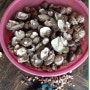 똘방맘 강원도 친정집 자연산 노지 표고버섯 소량 판매