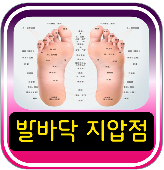 발바닥 지압점 위치 발바닥 지압 효과 알아보기~! : 네이버 블로그