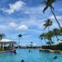 괌여행 DAY2. 하얏트 호텔 수영장 즐기기 / 투몬비치 / 브리즈 풀바 / ABC스토어