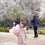 아이랑 서울 어린이대공원 동물원 벚꽃 보고 왔어요! 주차장 입장료 유모차