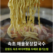 속초 점심메뉴 추천 : 속초 해물꽃장칼국수 맛집