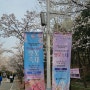 인천대공원_벚꽃축제_4월6일_4월7일_내 눈에도 봄이 왔다