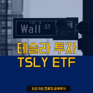 커버드콜 TSLY ETF - TSLA 비교 분석
