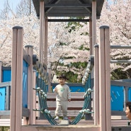 인천 논현동 짚라인 있는 놀이터 모험 어린이 공원