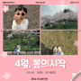 목포 벚꽃 명소 : 유달산 봄축제 벚꽃 드라이브 추천
