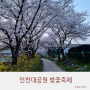 인천대공원 벚꽃축제 행복한 추억만들기 대성공