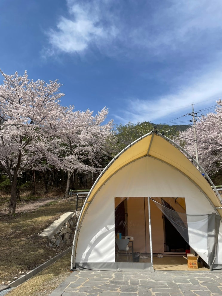 경남 산청 온수풀 바베큐 조식 포함 산가원글램핑 벚꽃시즌