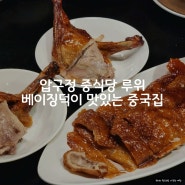 압구정 중식당 루위 서울 베이징덕이 맛있는 중국집