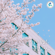 벚꽃의 꽃말은 중간고사 ..🌸🌸 남서울대 학우들 파이팅 !!