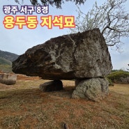 광주 서구 8경 용두동 지석묘, 남방식 고인돌과 북방식 고인돌을 한번에 볼 수 있는 야외학습장