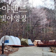 벚꽃캠핑-김해가야랜드 달빛야영장(2024.03.30~31)