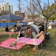 [한강 피크닉 데이트] 돗자리, 텐트 대여는 ‘써니텐트 뚝섬점’