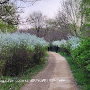 광나루한강공원-광나루한강공원야경-암사대교야경