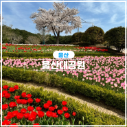 울산대공원 튤립 4월 꽃구경 장미축제 일정 위치