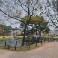 소식] 파릇파릇 봄을 맞이하는 강원도립화목원 강원특별자치도립화목원