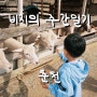 주간일기 / 해피초원목장, 공지천 오리배, 6살 아이와 춘천여행