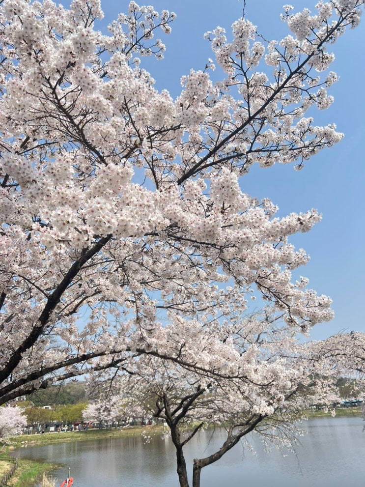 [경기/화성] 일몰맛집, 바다뷰 카페라는 ‘해갓’