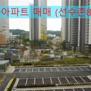 강릉부동산 유천선수촌8단지아파트 4층 전세