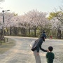5살 아이와 갈만한 곳 하남 나무고아원 ( 벚꽃명소 / 나무놀이터 / 모래놀이 / 주차 )