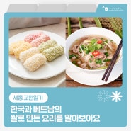 [세종 교환일기] 한국과 베트남의 쌀로 만든 요리를 알아보아요