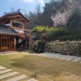 봄나들이 김포 개화 한옥 카페 - 깅꼬서울